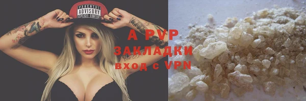 PSILOCYBIN Новодвинск
